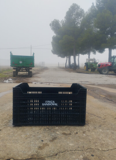 FS_Galeria_Vendimia_01